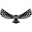 Omni Guitars logo